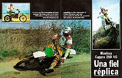 1981 m 250vg 02  1981 Montesa Cappra 250 VG : trofeo, montesa, 1981, cappra 250 VG, motocross, moto-cross, moto, cross