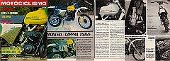 1981 m 250ve  1979 Montesa Cappra VE 250 (participaron en el 6º Trofeo Montesa de 1981) : trofeo, montesa, motos, cappra, 250 VE