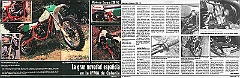 1981 m 250vg 07  1981 Montesa Cappra VG 250 (participaron en el 6º Trofeo Montesa de 1981) : trofeo, montesa, motos, cappra, 250 VG