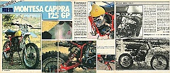 motos protos 1979 m 125gp  1979 Montesa Cappra 125 GP : prototipos, trofeo montesa, cappra, 125, GP